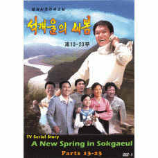 DVD A New Spring in Sokgaeul Parts 13-23 - 석개울 의 새 봄 제13-23부