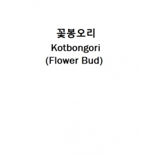 꽃봉오리-Kotbongori (Flower Bud)
